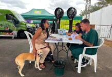 Castramóvel atende mais de 250 animais em Lagoa Grande