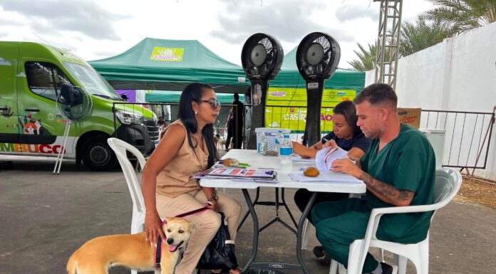 Castramóvel atende mais de 250 animais em Lagoa Grande