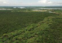 Governo de Pernambuco inicia consultas públicas para ampliar proteção da Caatinga com seis novas Unidades de Conservação