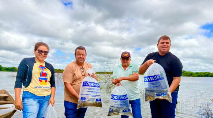 Cerca de 25 mil alevinos foram soltos no Açude Saco II, em Lagoa Grande, em ação voltada à piscicultura familiar