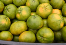 Veja os preços atualizados de hortifrutigranjeiros no Mercado do Produtor de Juazeiro nesta quinta (14)