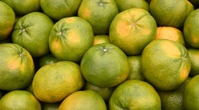 Veja os preços atualizados de hortifrutigranjeiros no Mercado do Produtor de Juazeiro nesta quinta (14)