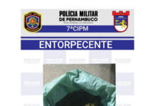 PMPE faz apreensão de mais de 4kg de maconha em Lagoa Grande; suspeitos fugiram de barco