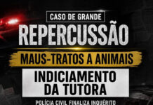 Polícia Civil indicia tutora de pitbulls que atacaram e mataram poodle em Petrolina