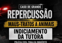 Polícia Civil indicia tutora de pitbulls que atacaram e mataram poodle em Petrolina