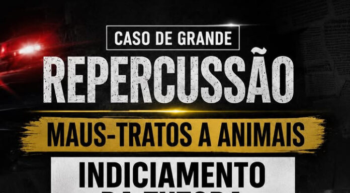 Polícia Civil indicia tutora de pitbulls que atacaram e mataram poodle em Petrolina