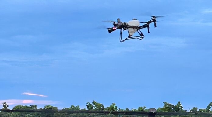 Evento gratuito reúne especialistas em drones agrícolas em Juazeiro