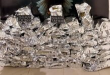Polícia civil apreende droga avaliada em 30 mil reais em Petrolina
