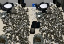 Três pessoas foram presas por suspeita de tráfico de drogas em Rodelas