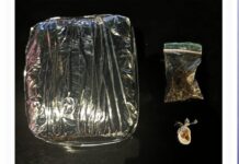 Polícia Militar apreende 1,5 kg de cocaína durante patrulha no bairro Jardim Petrópolis, em Petrolina