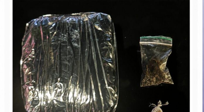 Polícia Militar apreende 1,5 kg de cocaína durante patrulha no bairro Jardim Petrópolis, em Petrolina