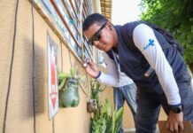 Resultado do 3º LIRAa aponta Petrolina com baixo risco para o Aedes Aegypti