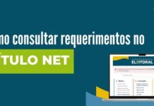 Cerca de 850 eleitores do estado ainda têm pendência para resolver com o TRE-PE