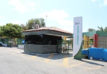 Semana das mães terá programação gratuita de capacitação e bem-estar no Parque Josepha Coelho, em Petrolina