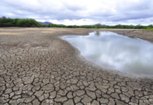 Pernambuco decreta Situação de Emergência para 75 municípios afetados pela estiagem