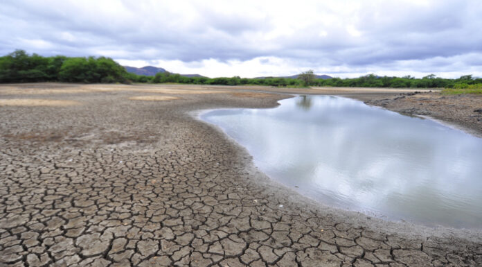 Apac alerta para alta probabilidade de El Niño no segundo semestre e risco de agravamento da seca em Pernambuco