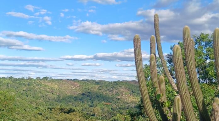 Pernambuco poderá ampliar em 15 mil hectares a área protegida na Caatinga