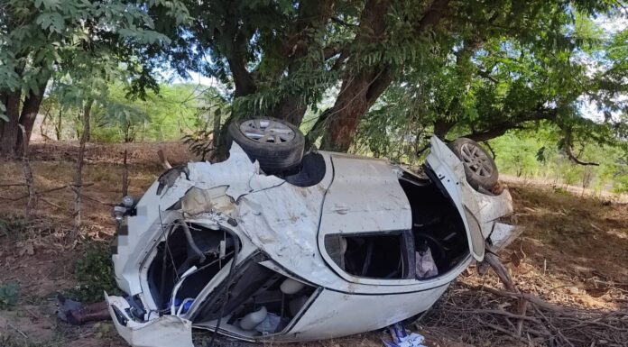 Vereador de Orocó fica ferido em acidente na BR-316, em Floresta; passageiro morre após veículo atropelar jumento