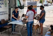 Cabrobó: MPPE recomenda o efetivo funcionamento do Programa Castramóvel no município