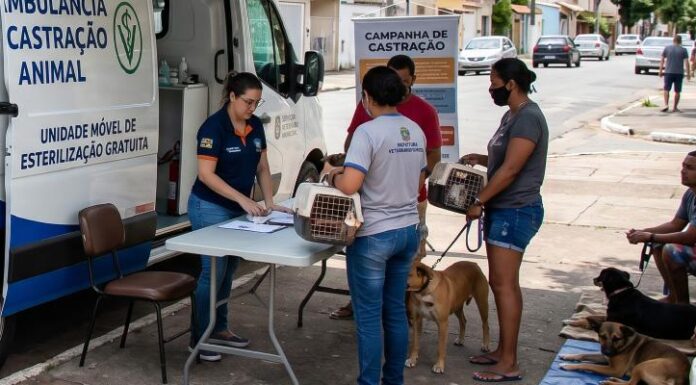 Cabrobó: MPPE recomenda o efetivo funcionamento do Programa Castramóvel no município