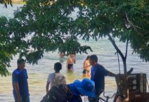 Prefeitura celebra dia Mundial do Meio Ambiente com atividades de preservação em Petrolina
