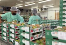 Frutas do Vale do São Francisco devem ficar de fora do tarifaço de 25% proposto pelos EUA