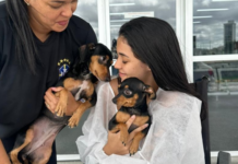 Pets levam alegria a paciente internada no HU-Univasf