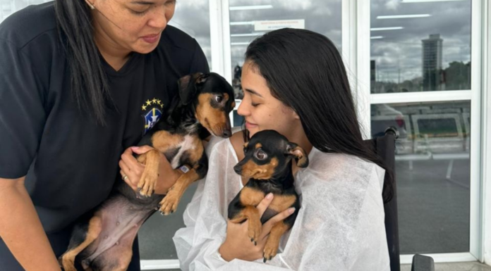 Pets levam alegria a paciente internada no HU-Univasf