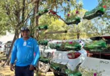 No HU-Univasf, beleza e leveza fazem parte de jardim feito com materiais recicláveis