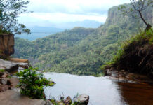 O ponto cego do desenvolvimento: a invisibilidade do capital natural da Caatinga