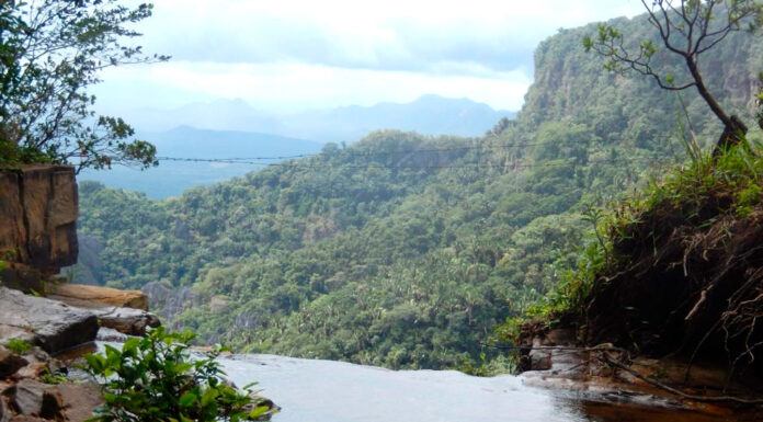 O ponto cego do desenvolvimento: a invisibilidade do capital natural da Caatinga