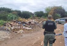 Dois homens são achados mortos em estrada de acesso ao N-9 em Petrolina