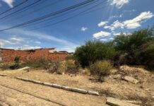 Programa Petrolina + Limpa reforça responsabilidade de proprietários na manutenção de terrenos