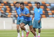 Brasil fecha preparação para duelo contra Japão, 1º mata-mata da Copa, nesta segunda (29)