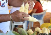 Com programa Meu Bairro Empreendedor, localidades da sede e do interior fortalecem economia comunitária