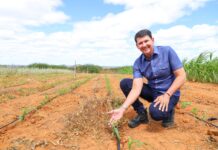 Com R$ 150 milhões em investimentos, Simão Durando lança programa para impulsionar o desenvolvimento do interior de Petrolina