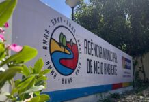 Prefeitura de Petrolina explica quando é necessário solicitar uma licença ambiental