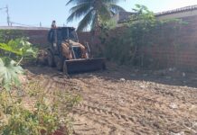 Terrenos abandonados podem gerar multas de até R$ 100 mil em Petrolina
