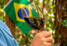 Brasil ganha Dia Nacional do Vinho em meio ao maior volume de produção já registrado no país