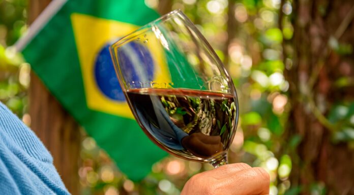Brasil ganha Dia Nacional do Vinho em meio ao maior volume de produção já registrado no país