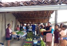 PAA Indígena amplia acesso à alimentação e fortalece produção da comunidade Atikum Coelho Jurema