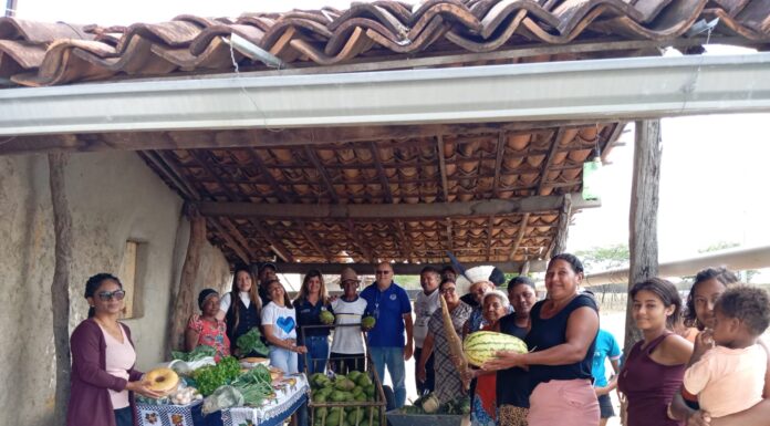 PAA Indígena amplia acesso à alimentação e fortalece produção da comunidade Atikum Coelho Jurema