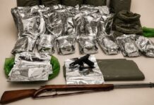 Cerca de 170 kg de maconha foram apreendidos durante operação em Casa Nova