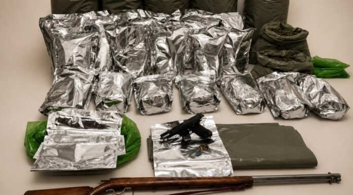 Cerca de 170 kg de maconha foram apreendidos durante operação em Casa Nova