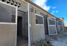 Primeiro Canil/Gatil Municipal de Petrolina entra em fase de conclusão