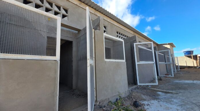 Primeiro Canil/Gatil Municipal de Petrolina entra em fase de conclusão