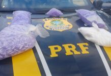 Passageiro de van é detido pela PRF por suspeita de tráfico de cocaína em Salgueiro