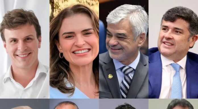 Instituto Conecta divulga pesquisa para o Senado em Pernambuco; Marília Arraes lidera e disputa pela segunda vaga segue aberta