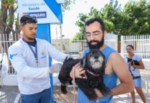 Bora Petrolina terá vacinação antirrábica gratuita para cães e gatos neste sábado (4) no Alto do Cocar