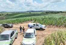 Operação Mata Atlântica em Pé 2026 estreia com fiscalização remota, embarga mais de 470 hectares e aplica RS 2,6 milhões em multas em Pernambuco